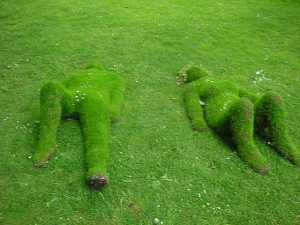 26d1215d09ca4a2f1c855321c022df9f