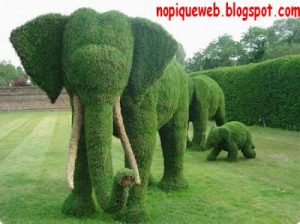 esculturas-de-grama-0