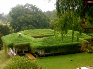 Telhado ecológico: diferencial estético e aumentar a biodiversidade