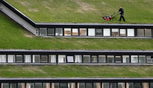 A grama regula a umidade do ar no entorno da edificação