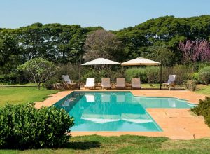 jardim-gramado-paisagista-rodrigo-oliveira-piscina-grama-esmeralda-jasmim-manga-cerejeira