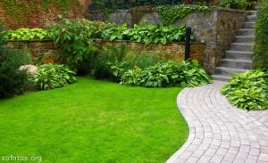 paisagismo-e-jardinagem-27-68